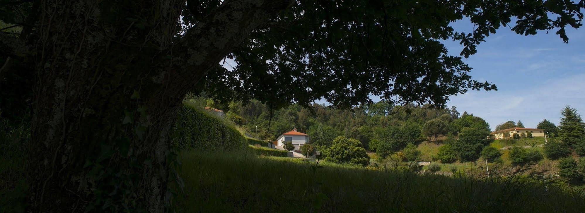 Villa Quinta Do Fontelo à Vouzela Extérieur photo